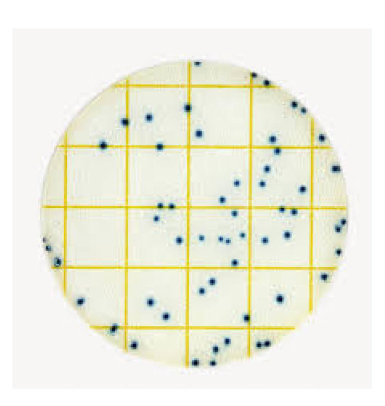 Neogen® Petrifilm®Selective E.coliCount Plates Triolab Food